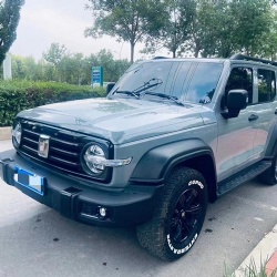Танк 300 2021 Внедорожная версия 2.0T Conqueror