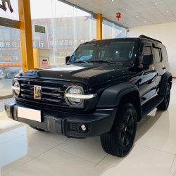 Танк 300 2021 Внедорожная версия 2.0T Conqueror
