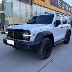 Танк 300 2021 Внедорожная версия 2.0T Challenger